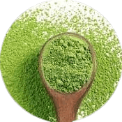 greenselect phytosome